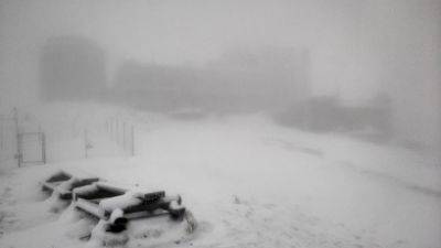 ​Снег в Украине 16 октября - гору Поп Иван засыпало снегом – фото и видео