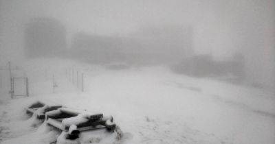 Карпаты замело: синоптик назвала дату, когда в других регионах Украины выпадет снег (фото)