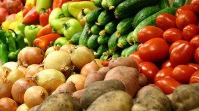 Цены на продукты – в Раде предупредили о повышении цен на яйца, овощи, фрукты и молочку