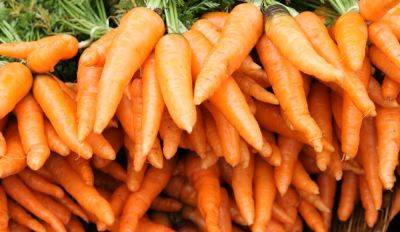 Есть один важный нюанс: как сохранить морковь свежей до конца зимы. Необычный способ