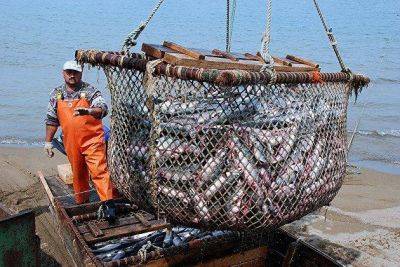 Александр Панин - Рыбный союз: Япония не поставляла много рыбы в Россию, дефицит не ожидается - smartmoney.one - Москва - Россия - Китай - Япония - Финляндия