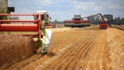 Свое возьмем: как России разбогатеть на экспорте пшеницы