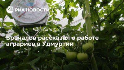 Бречалов: аграрии Удмуртии собрали 3,8 тысячи тонн овощей из борщевого набора