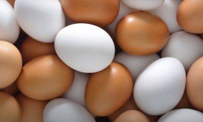 Когда ожидать подорожания яиц и сколько будет стоить один десяток: что говорят эксперты