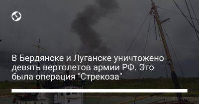 В Бердянске и Луганске уничтожено девять вертолетов армии РФ. Это была операция "Стрекоза"