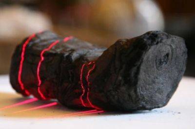ИИ расшифровал первый текст из «нечитабельного» Геркуланумского свитка, который обгорел после извержения Везувия