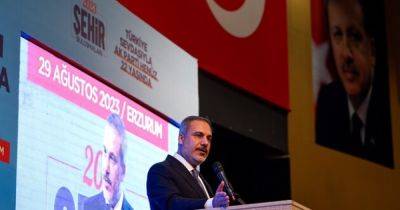 "Установим постоянный мир в регионе": Турция готова стать страной-гарантом для Палестины