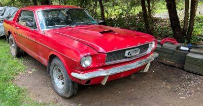 В заброшенном сарае нашли раритетный Ford Mustang 60-х: он 40 лет стоял на месте (фото)