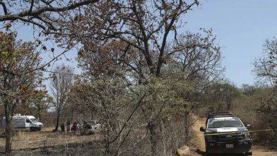 Мексика: в подпольном крематории обнаружены человеческие останки