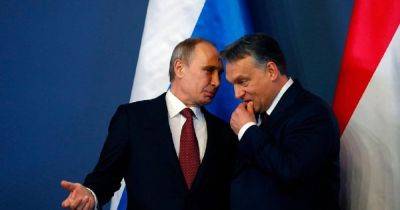 Путин и Орбан продолжают дружить: Венгрия и РФ подтвердили свои связи на форуме в Китае