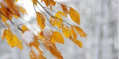 Наталья Птуха - Неделя во второй раз удивит. Вскоре: снова похолодание, интенсивные дожди и мокрый снег в двух областях - nv.ua - Украина