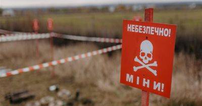 Обучение в Киевской области – на базе Вишневского пройдут обучение правилам минной безопасности