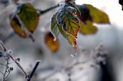 Мокрый снег и дикий холод: синоптик Наталка Диденко предупредила о погоде на среду, 18 октября, и дальше
