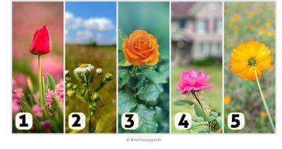 Тест на определение личности: узнайте, выбрав картинку с цветком