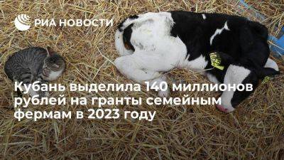 Вениамин Кондратьев - Кубань выделила 140 миллионов рублей на гранты семейным фермам в 2023 году - smartmoney.one - Краснодарский край