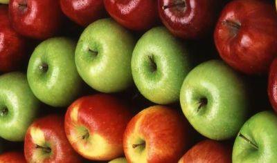 Делайте запасы и консервируйте: какие сорта осенних украинских яблок самые полезные
