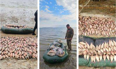 Браконьеры наловили рыбы на 2 миллиона: инспекторы Госэкоинспекции пресекли масштабное нарушение