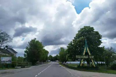 В Светлогорском районе на флагштоке красно-зеленый флаг заменили на украинский