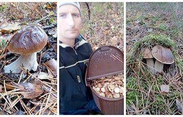 Рано завершать сезон: белорусы похвастались грибным уловом