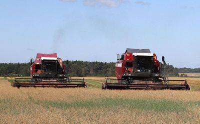 8,7 млн т зерна намолочено в Беларуси