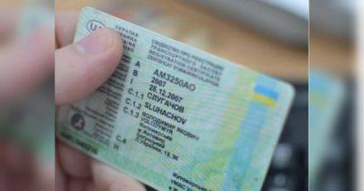 В Украине ввели новую услугу для беженцев, находящихся в Польше