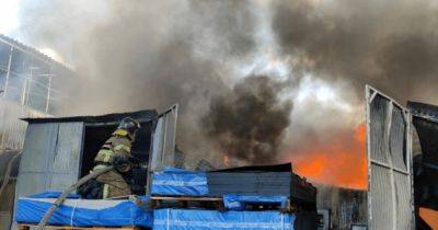 В Ростове-на-Дону вспыхнул мощный пожар, спасателям не хватает воды (фото)