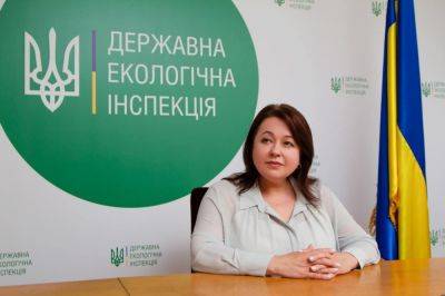 Елена Криворучкина требует расследовать попытки уничтожить Госэкоинспекцию: Откровенно преступные "реформы"