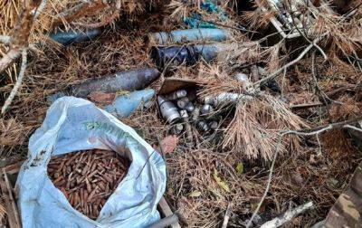 В Житомирской области грибник обнаружил в лесу тайник с боеприпасами