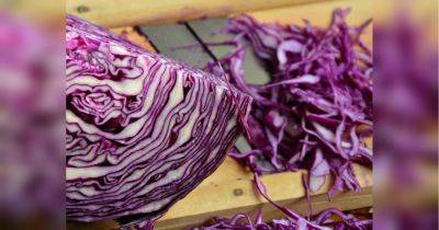 Вкусный и очень полезный: почему зимой в каждом доме должен быть салат из маринованной краснокочанной капусты (видео)