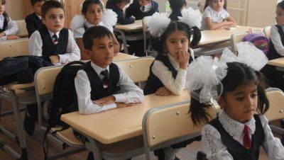 Узбекистан предложил за счет диаспоры открыть в РФ школы и сады для мигрантов