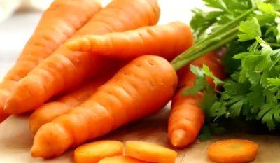 Поможет луковая шелуха: как правильно хранить морковь на балконе, чтобы он не портилась до весны