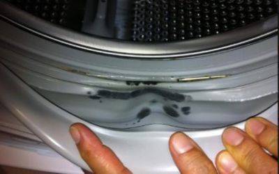 Как избавиться от плесени в стиральной машине – советы хозяйкам