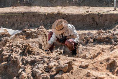 Археологи обнаружили кувшины с 5 000-летним вином в древней гробнице - news.israelinfo.co.il - Египет