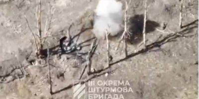 Третья штурмовая бригада показала работу ударных дронов по оккупантам в Андреевке — видео - nv.ua - Россия - Украина