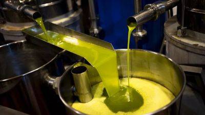 Производство оливкового масла падает, а цена на него растёт - ru.euronews.com - США - Италия - Франция - Испания - Португалия - Греция