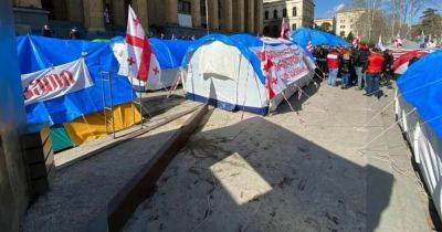 "Российские ограничения": в Грузии готовят закон о "запрете палаток"