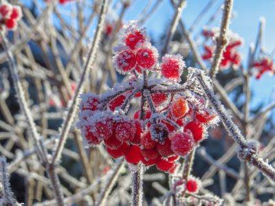 Тепло сменят резкие ночные заморозки: синоптик Диденко предупредила о сильных капризах погоды на 3 октября
