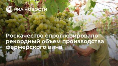 Роскачество: в этом году ожидается рекордный объем производства фермерского вина