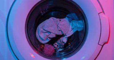 Важность взаимной гигиены: эксперт рассказала, чем грозит пренебрежение мытьем стиральной машинки