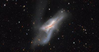 Создан новый галактический атлас: в нем собраны 400 тысяч галактик рядом с Млечным Путем (фото) - focus.ua - США - Украина - Чили