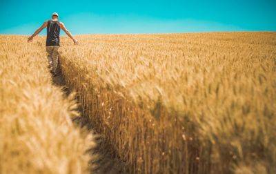 Украинские аграрии намолотили 57,6 млн. тонн урожая