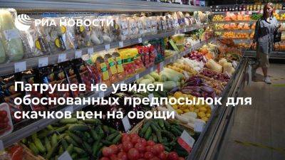 Патрушев: обоснованных предпосылок для скачков цен на овощи в России нет