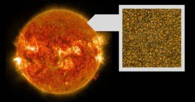 Обнаружены новые структуры на Солнце: это приближает к разгадке главной тайны звезды (фото)