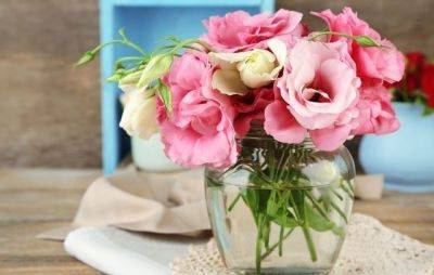 Букет будет стоять несколько недель: что добавить в вазу, чтобы цветы вас дольше радовали