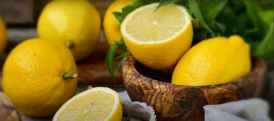 Проверено на себе: как хранить лимоны, чтобы они долго не портились и не подгнивали