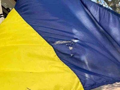 В центре Одессы парень порвал флаг Украины | Новости Одессы - odessa-life.od.ua - Украина - Одесса