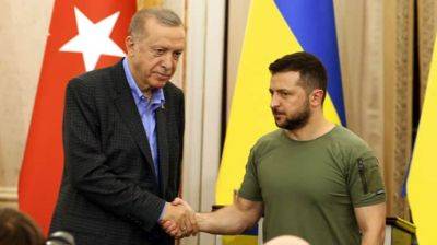 Зеленский и Эрдоган поговорили о войне в Украине и Ближнем Востоке