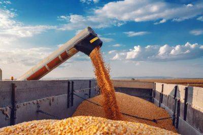 Потери зернового сектора Украины в результате этого года могут превысить $3,2 млрд — Reuters