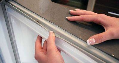 Как почистить резинку холодильника от плесени: копеечные средства