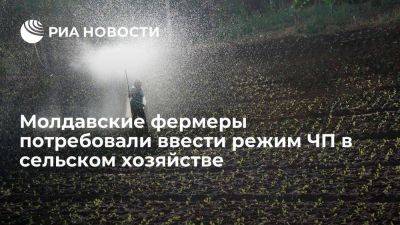 Мирзенко: молдавские аграрии требуют ввести режим ЧП в сельском хозяйстве